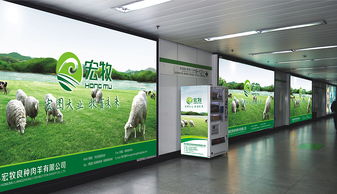 深耕綠色沃土，鑄就品牌豐碑——農(nóng)產(chǎn)品企業(yè)的形象設計與策劃之道